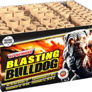 Feuerwerkskörper Lesli_Blasting Bulldog, Feuerwerksbatterie